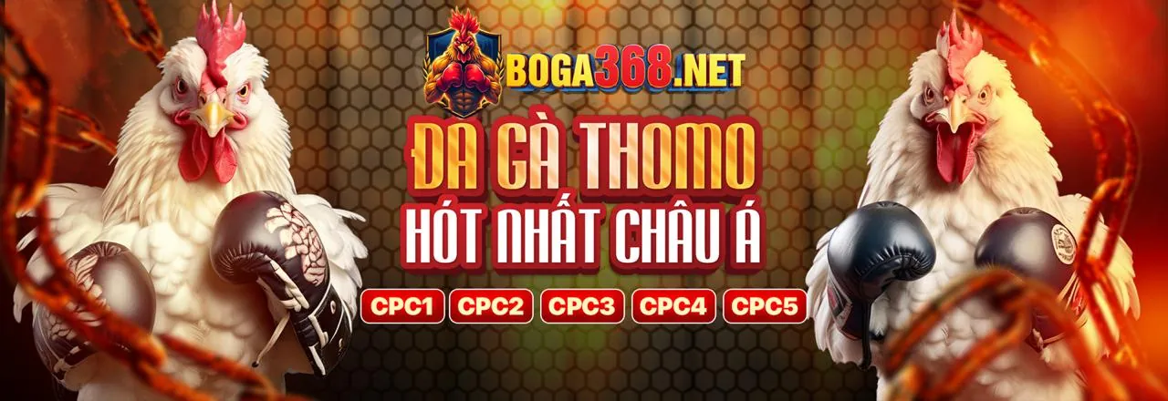 Hình ảnh giới thiệu kkwwin chính thức