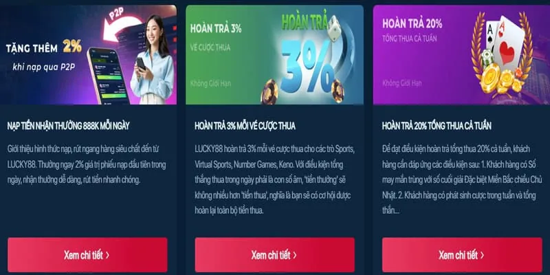 Đội ngũ chuyên gia kkwwin chính thức